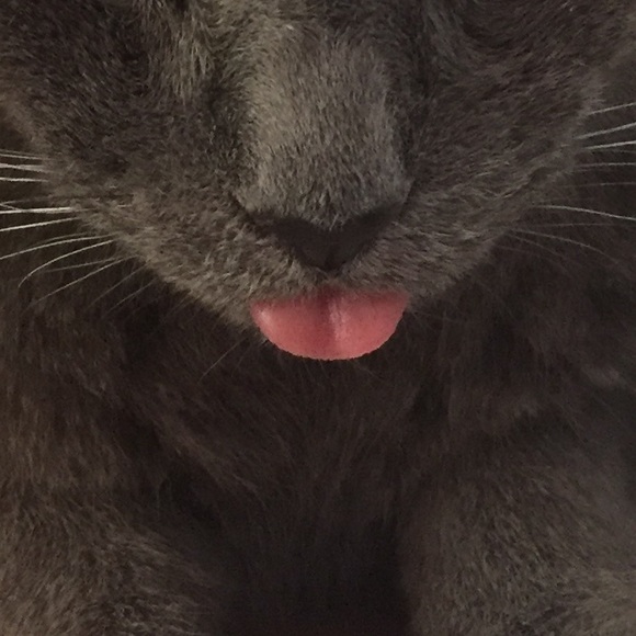 Meet your Posher, Edward - Picture 1 of 1